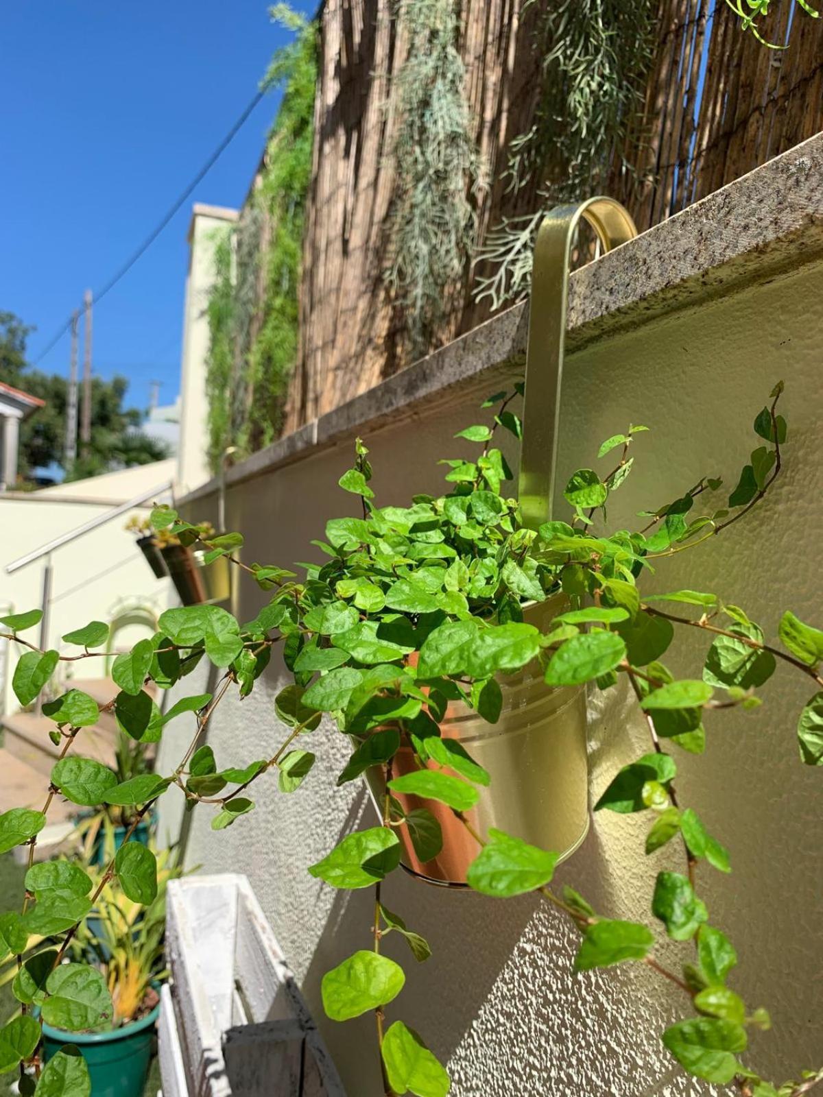 코임브라 Charming Cozy Retreat - Terrace & Private Balcony B&B 외부 사진